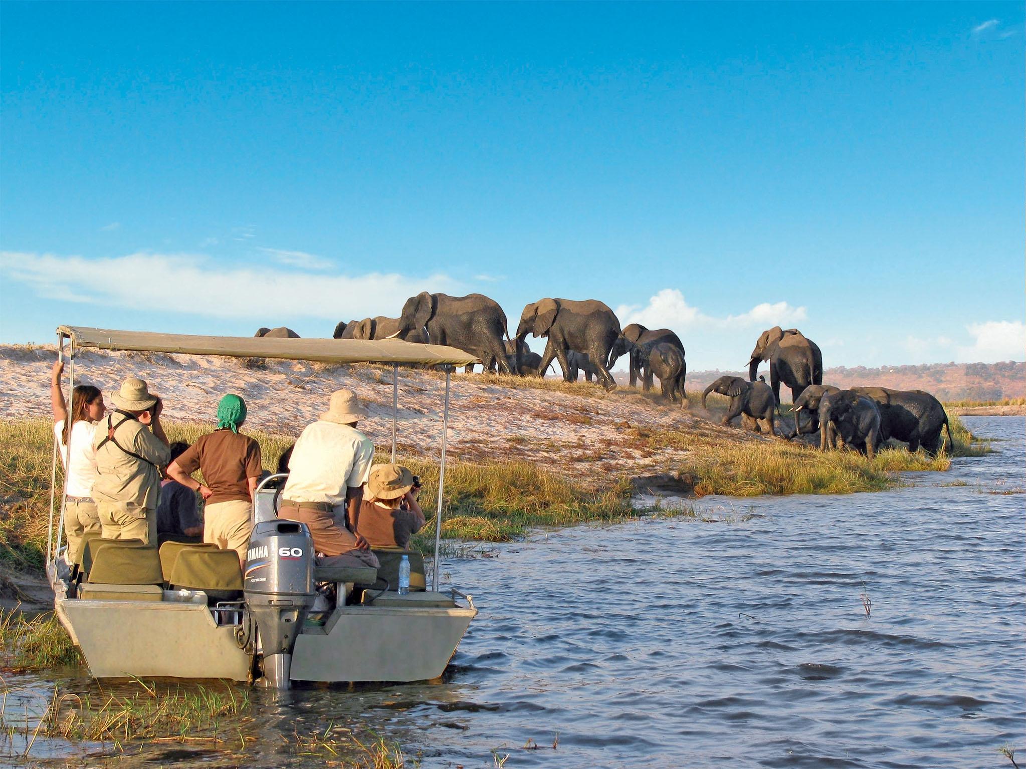 CRUCEROS RV AFRICAN DREAM CRUCERO SAFARI AFRICA CRUCEROS DE LUJO AFRICA VIAJES DE NOVIOS SAFARI CRUCEROS ZAMBEZE CRUCEROS CHOBE AFRICAN DREAM CRUISES CROISIERE CROISIEUROPE AFRICAN DREAM CRUISES CROISIERE AFRIQUE CROISIEUROPE AFRICAN DREAM BATEAU CRUCEROS RIOS AFRICA VIAJES DE NOVIOS AFRICA LUNAS DE MIEL SAFARI AFRICA CRUCEROS EXPLORACION NATURAL CRUCEROS AVENTURA VIAJES AVENTURA VIAJES EXPLORACION #Lunasdemiel #viajesdenovios #viajesunicos #viajesexploracion #agenciasdeviajesespaña #agenciasviajesdenovios #viajesaventura #crucerosafrica #crucerosunicos #viajesromanticos #viajesunicos #viajesnamibia #safariafrica #safariparquenaturalchobe #reservachobe #safarielefantes #safarinovios #safarilunasdemiel #crucerosnovios #descuentoviajesdenovios #ofertaslunasdemiel #crucerosdelujo #crucerosexploracion #cataratasvictoria #lunamielzimbabue #lunamielsudafrica